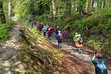 220427_bluetenwanderung_Tour02_083