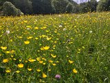 220522lippachtal007