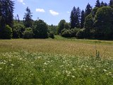 220612_gammertingen049