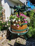 220922b__Im_Weingut_Nopper_07