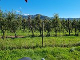 220922c__Fahrt _in_die_Weinberge_03