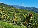 220922c__Fahrt _in_die_Weinberge_05