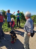 220922c__Fahrt _in_die_Weinberge_07