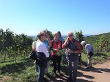 220922c__Fahrt _in_die_Weinberge_15