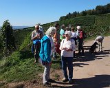 220922c__Fahrt _in_die_Weinberge_16