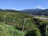 220922c__Fahrt _in_die_Weinberge_27