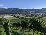 220922c__Fahrt _in_die_Weinberge_28