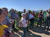 220922c__Fahrt _in_die_Weinberge_34