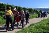 220922d__Wandern_und_Wein_04