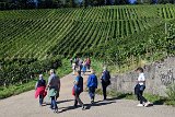 220922d__Wandern_und_Wein_08