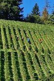 220922d__Wandern_und_Wein_09