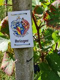 220922d__Wandern_und_Wein_11