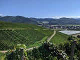 220922d__Wandern_und_Wein_12