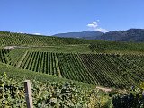 220922d__Wandern_und_Wein_13