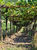 220922d__Wandern_und_Wein_14