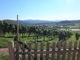 220922d__Wandern_und_Wein_31