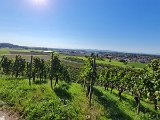 220922d__Wandern_und_Wein_40