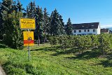 220922d__Wandern_und_Wein_42