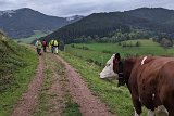 220924a_wanderung01_Brotweg10