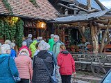 220924d_straussi_02