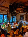 220924d_straussi_06
