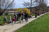 230410ostereiersuchwanderung17