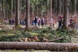 230410ostereiersuchwanderung55