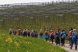 230422bluetenwanderung01_49