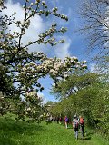 230506dreifuerstenstein06