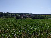 230709_morgenwanderung_heiligenberg_38
