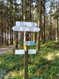 230927-02-gruppe2_panoramaweg_04