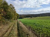 231014lautertal_wome_031