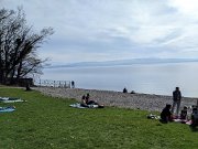 230318_vortour_bluetenwanderung26