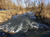 240121Bittelschiesser_Taele_43