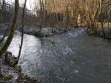240121Bittelschiesser_Taele_48