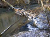 240121Bittelschiesser_Taele_52