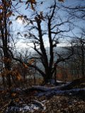 240113gauabschluss_01_070