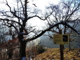 240113gauabschluss_01_072