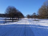 240113gauabschluss_01_096