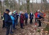 240218_wanderung_bei_Zielfingen047