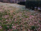 240218_wanderung_bei_Zielfingen071