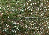240218_wanderung_bei_Zielfingen073a