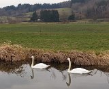 240218_wanderung_bei_Zielfingen110