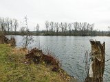 240218_wanderung_bei_Zielfingen122