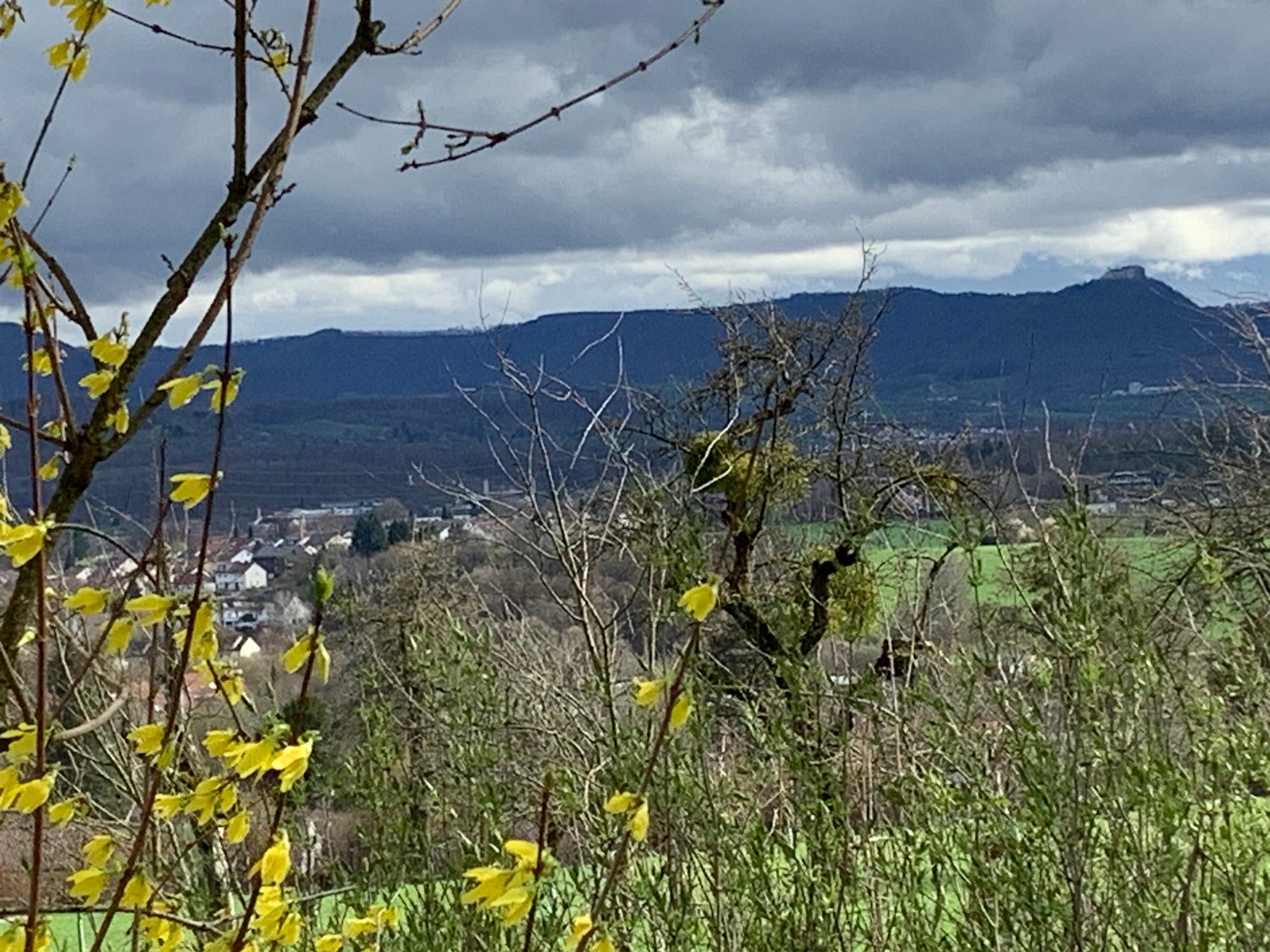 240316_nuertingen074.JPG