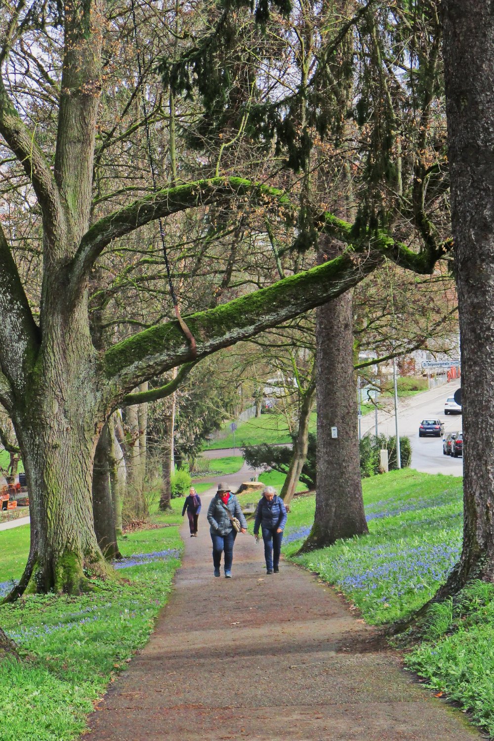 240316_nuertingen089.JPG