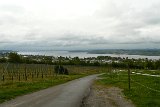 240420_blueten01__02