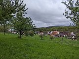 240420_blueten01__15