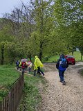 240420_blueten01__19