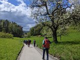 240420_blueten01__35